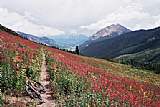 401 Trail - Crested Butte, Colorado