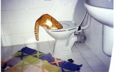 ����� ���� ������ ����� - �� �� ����� ����