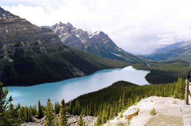 ��� Peyto