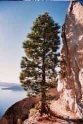 � - Flume Trail