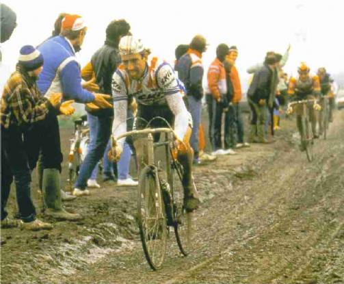 ����� ����� - ��� ��� ���� � TDF 