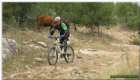 557097.jpg