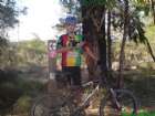 D.M