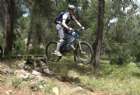 �������
�������
