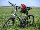 HARO - V3
���