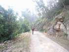 EasyRider at "KEDOSHIM" forest
akiva bornshtein