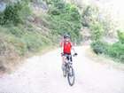 EasyRider at "KEDOSHIM" forest
akiva bornshtein