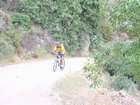 EasyRider at "KEDOSHIM" forest
akiva bornshtein