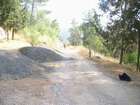 EasyRider at "KEDOSHIM" forest
akiva bornshtein