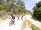 EasyRider at "KEDOSHIM" forest
akiva bornshtein