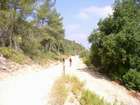 EasyRider at "KEDOSHIM" forest
akiva bornshtein