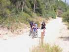 EasyRider at "KEDOSHIM" forest
akiva bornshtein