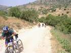 EasyRider at "KEDOSHIM" forest
akiva bornshtein