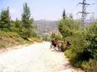 EasyRider at "KEDOSHIM" forest
akiva bornshtein