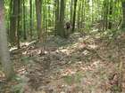 Rocky Singletrack-Greenbrier
Jake on the Red Trail
Nathan