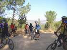 http://www.harim.co.il/pics.as
akiva bornshtein