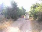 http://www.harim.co.il/pics.as
akiva bornshtein