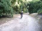 http://www.harim.co.il/pics.as
akiva bornshtein