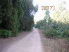 http://www.harim.co.il/pics.as
akiva bornshtein