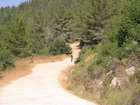 EZriders ��� ���� �������
akiva bornshtein