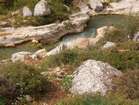 ��� �����
