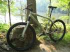  Singlespeed
Cannondale 1FG 
Nathan
