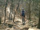 Dallas,Tx Northe Shore trails
Moti - push the up hill