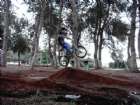 ���� ����� ����