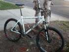 Sasson - SS - ready to Ride - 