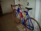 ������ ���� ���
trek 1000